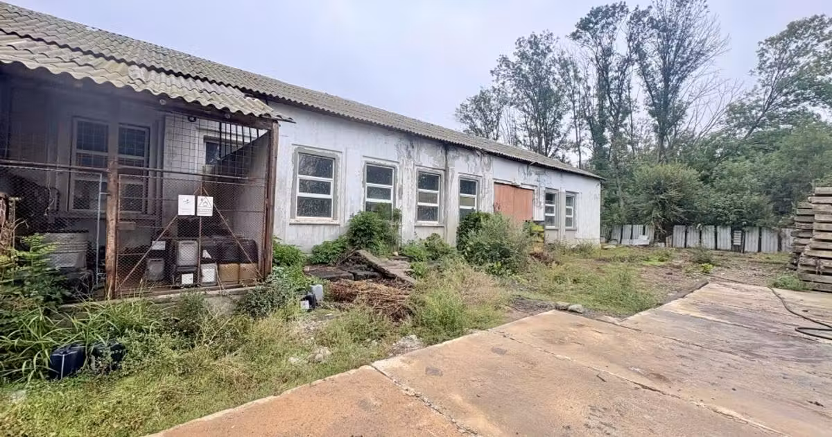 Spațiu industrial de vânzare de 450.00 mp, în Valu lui Traian