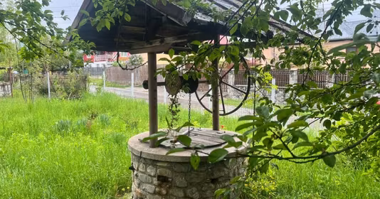 Teren Brebu Mânăstirei