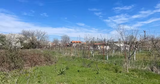 Teren Runcu