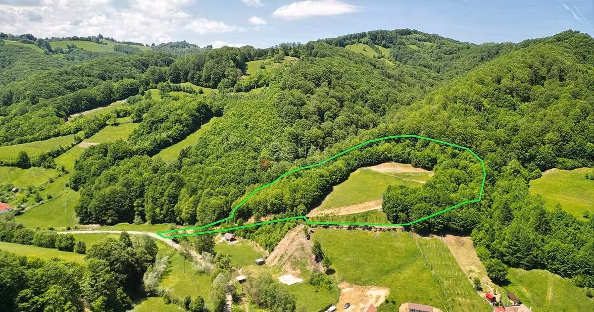 Teren Construcții extravilan de vânzare de 16000 mp, în Poiana Mărului