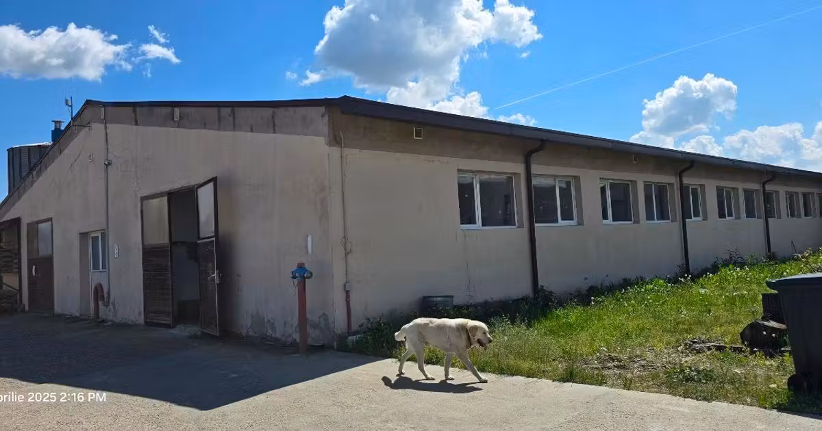 Apartament · 52 m², Fărcașa, Șomcuta Mare