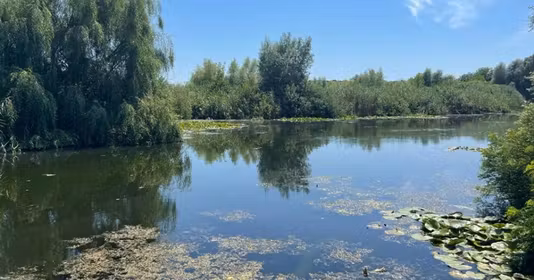 Teren Siliștea Snagovului