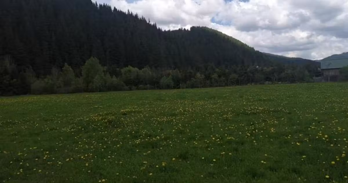 Teren Construcții intravilan de vânzare de 25100 mp, în Gheorgheni