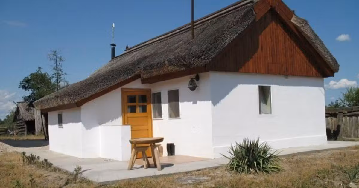 Casă de vânzare cu 7 camere, mobilată în Letea