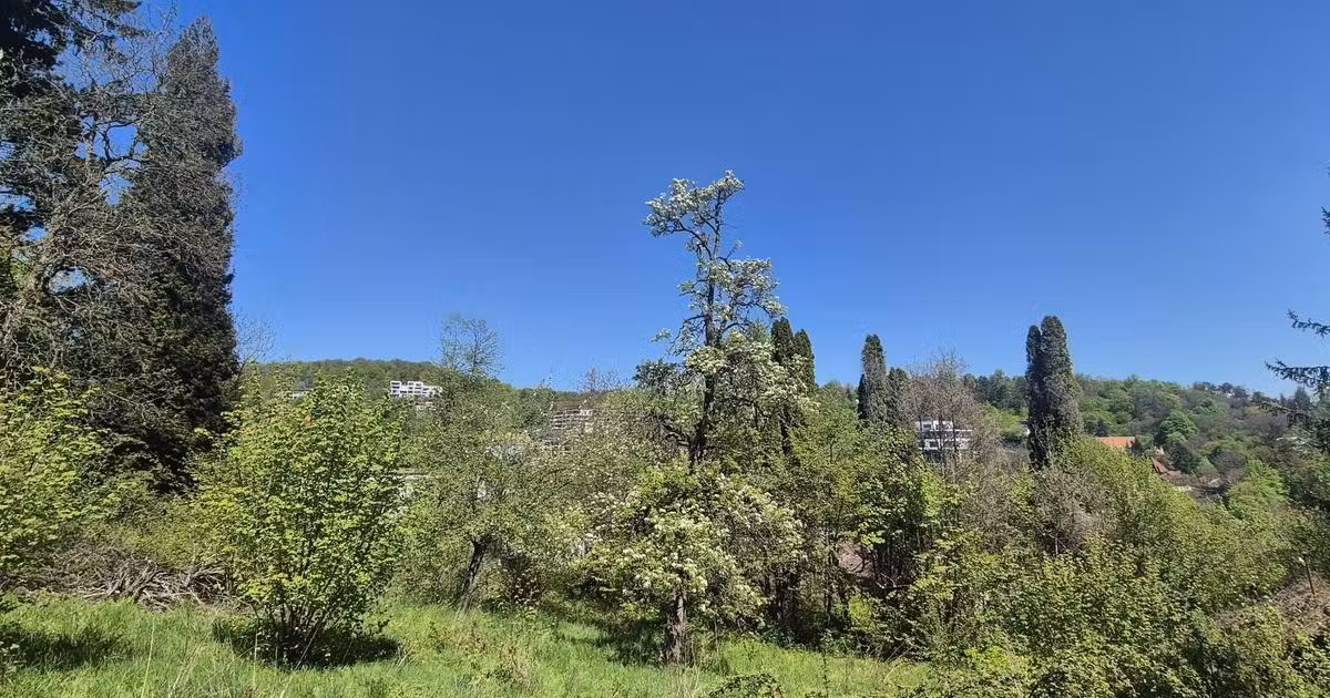 Teren Construcții intravilan de vânzare de 2758 mp, în zona Schei, Brașov