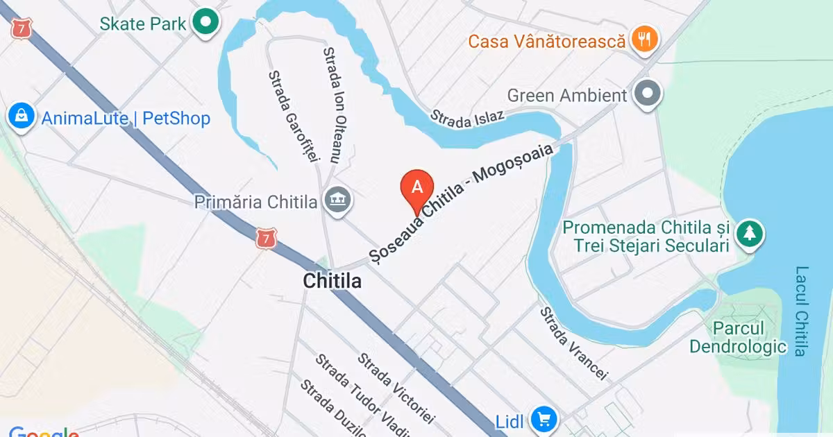 Casă individuală de vânzare cu 7 camere în Chitila