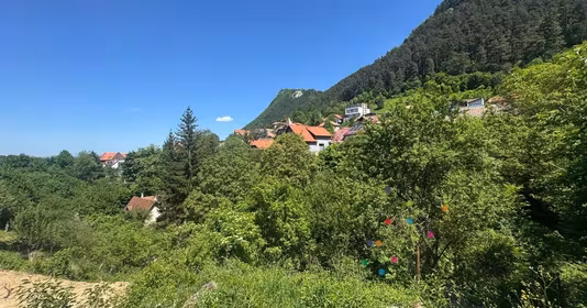 Teren Schei