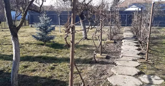 Casă Mehala