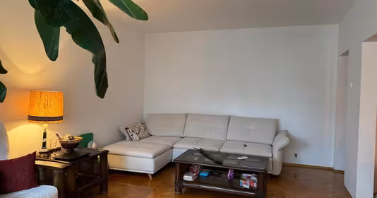 Apartament Pajura