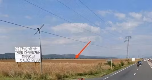 Teren Florești