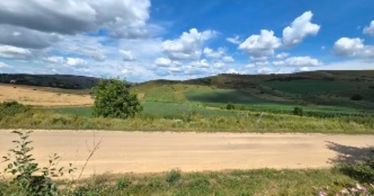 Teren agricol extravilan de vânzare de 2900 mp, în Pata