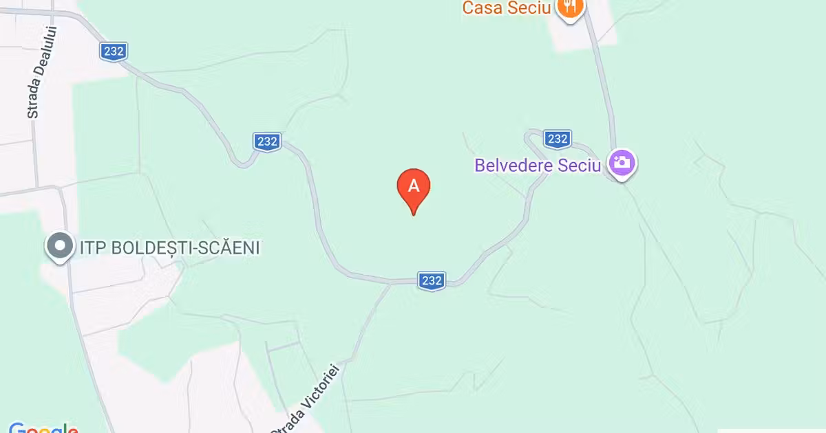 Teren agricol extravilan de vânzare de 165000 mp, în Boldești-Scăeni
