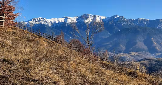 Teren Măgura