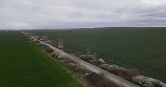 Teren Aradului