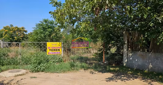 Teren Voluntari