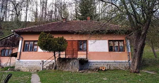 Teren Crișcior