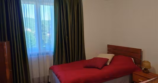 Apartament Central