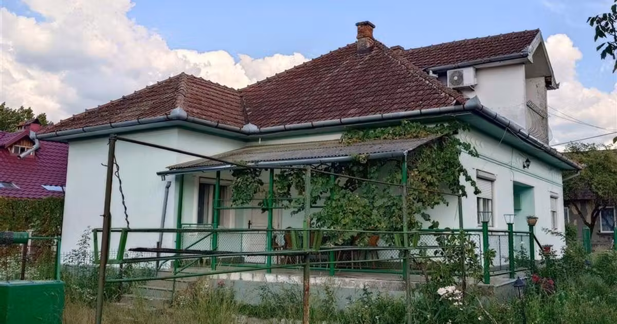 Casă de vânzare cu 4 camere în Baia de Criș