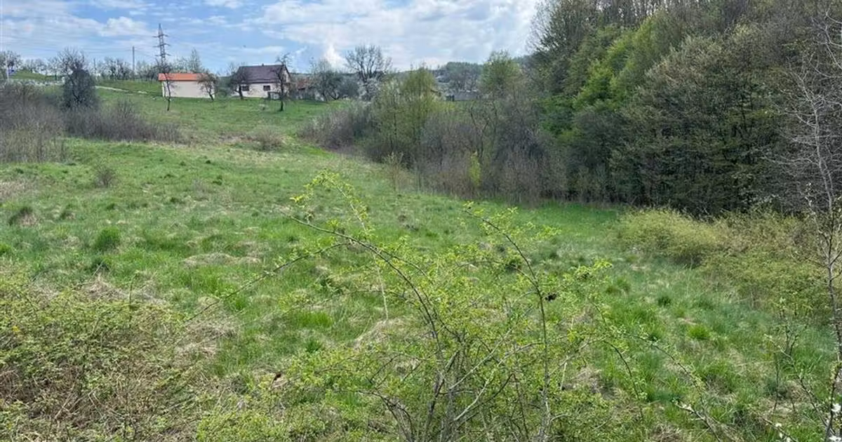 Teren extravilan de vânzare de 3060 mp, în Luncoiu de Sus