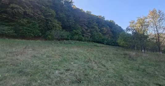 Teren Crișcior