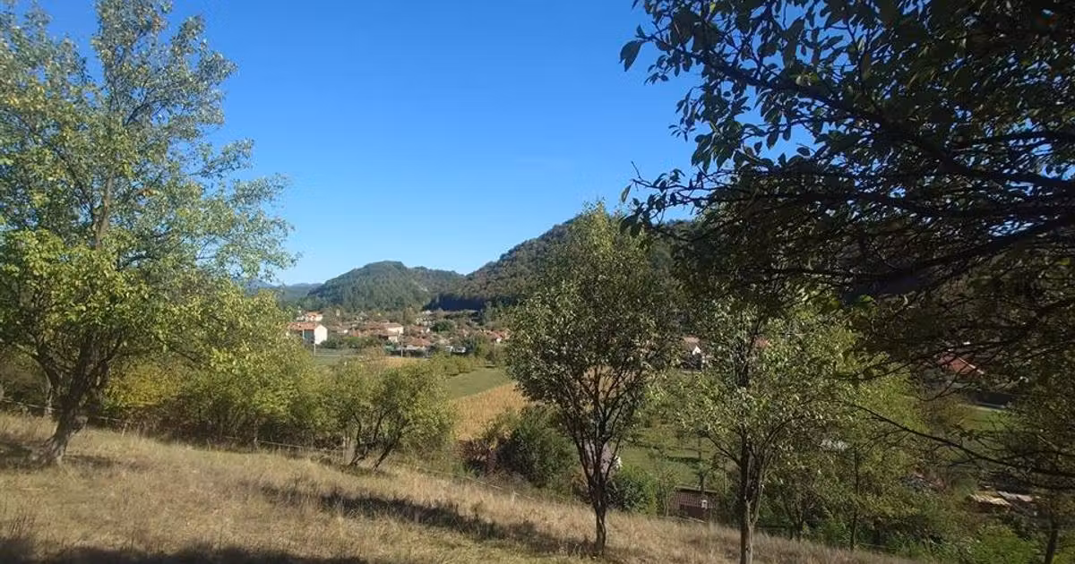 Teren Construcții extravilan de vânzare de 14075 mp, în Crișcior
