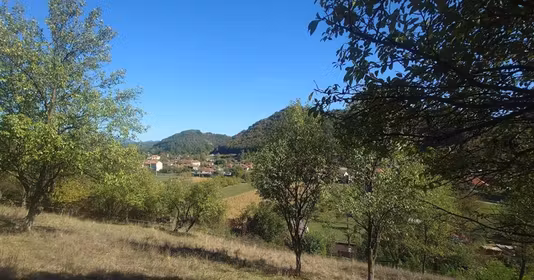 Teren Crișcior