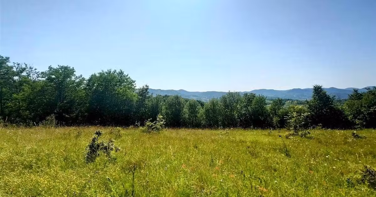 Teren Construcții intravilan de vânzare de 3000 mp, în Brad