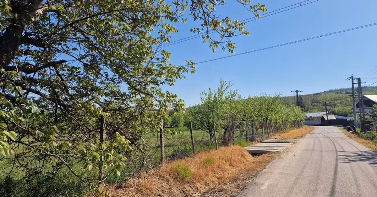Teren Construcții intravilan de vânzare de 1688 mp, în Călinești