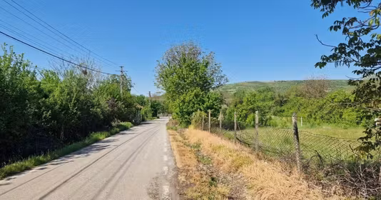 Teren Călinești