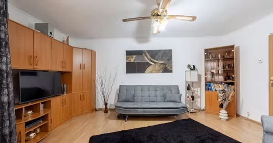 Apartament Găvana 3