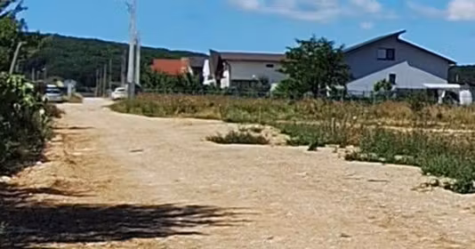 Teren Moșoaia