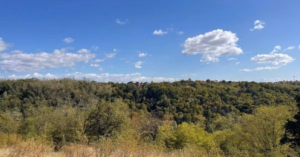 Teren Construcții intravilan de vânzare de 5000 mp, în Băbana