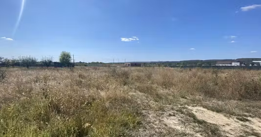 Teren Moșoaia