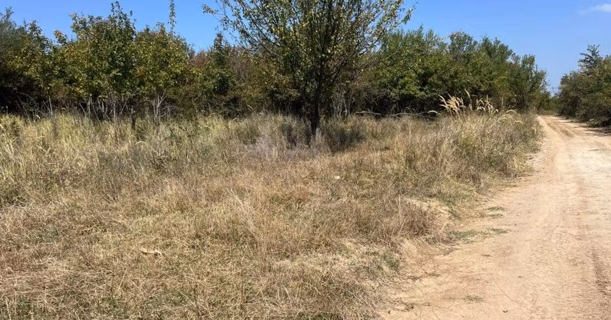 Teren Construcții intravilan de vânzare de 5744 mp, în Moșoaia