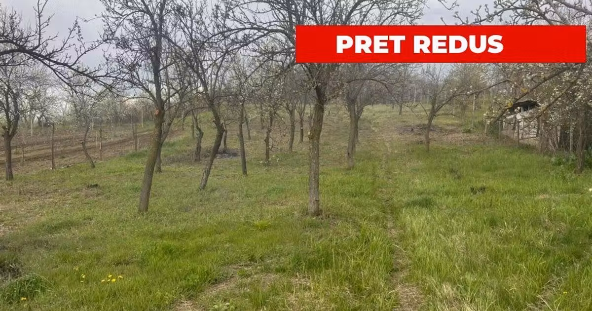 Teren Construcții intravilan de vânzare de 2200 mp, în Călinești