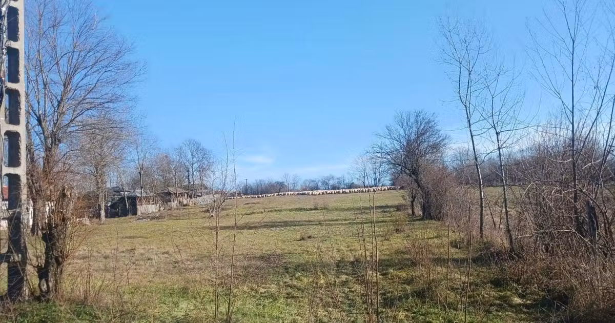 Teren Construcții intravilan de vânzare de 6500 mp, în Gliganu de Sus