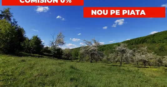 Teren Budeasa Mică