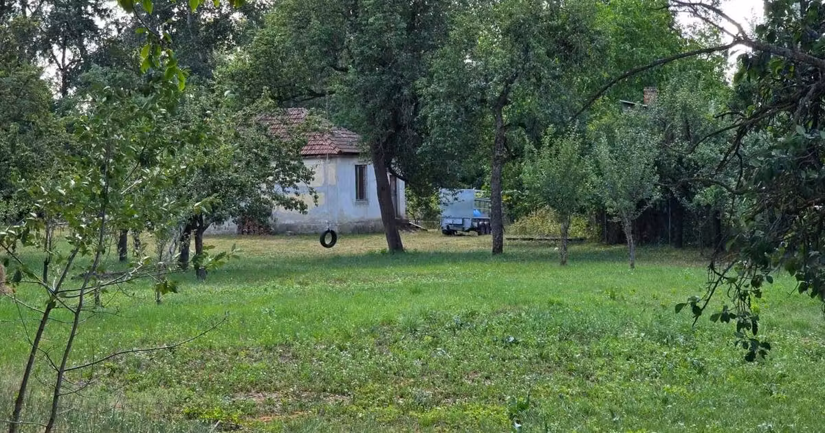 Teren Construcții intravilan de vânzare de 3562 mp, în Satu Mare