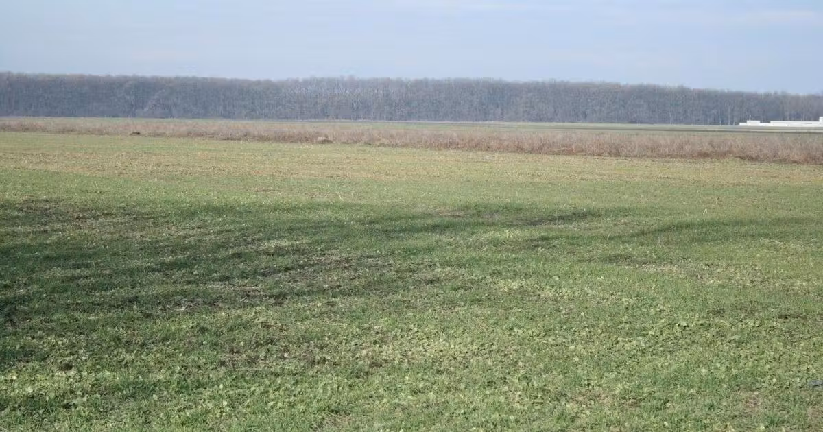 Teren agricol extravilan de vânzare de 9200 mp, în Afumați