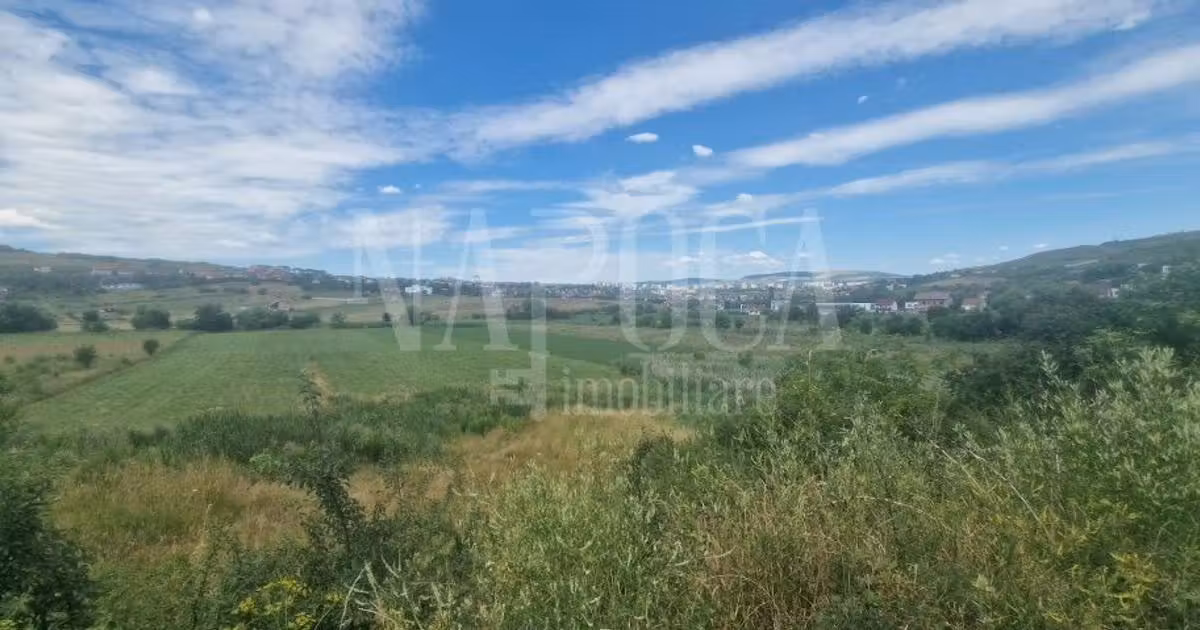 Teren Construcții intravilan de vânzare de 10300 mp, în zona Borhanci, Cluj-Napoca