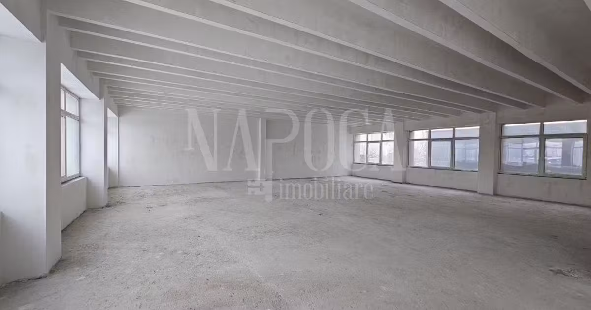 Birou · 4904 m², Dâmbul Rotund, Cluj-Napoca