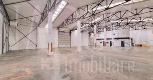 Spațiu comercial Iris