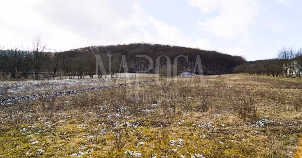 Teren Construcții extravilan de vânzare de 6300 mp, în Popești
