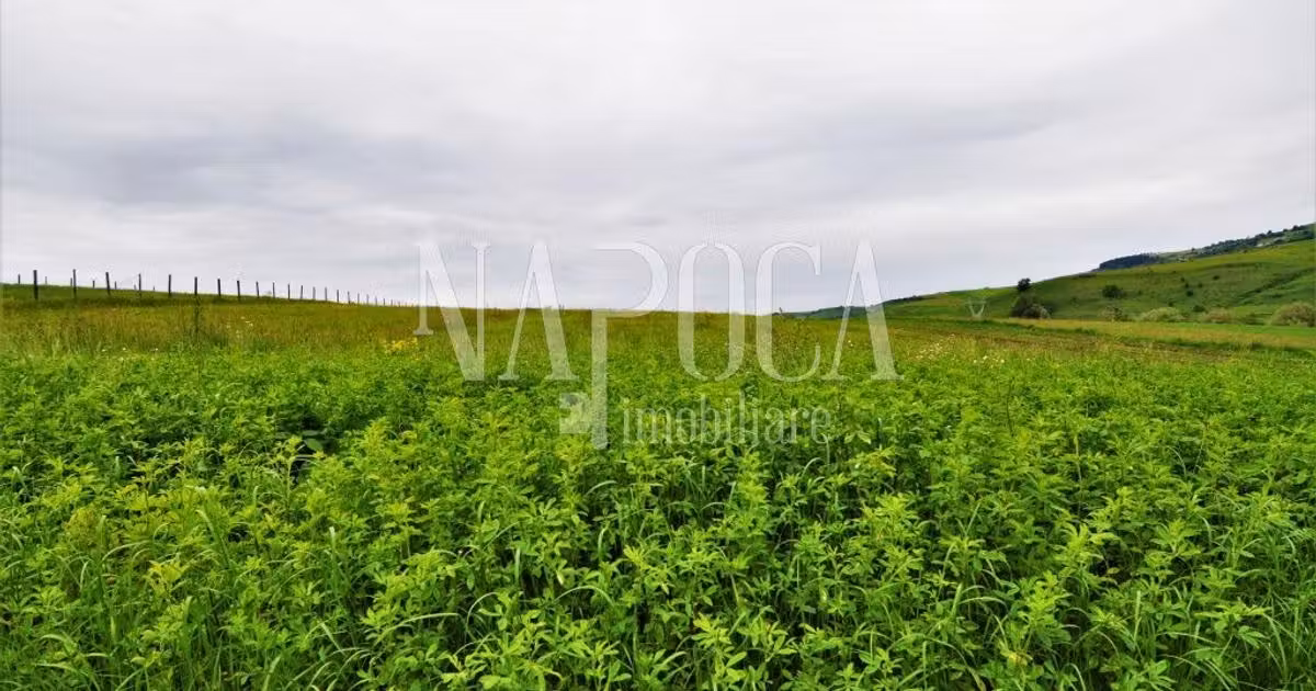 Teren Construcții extravilan de vânzare de 5800 mp, în Popești