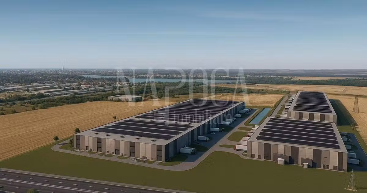 Spațiu industrial de vânzare în Borș