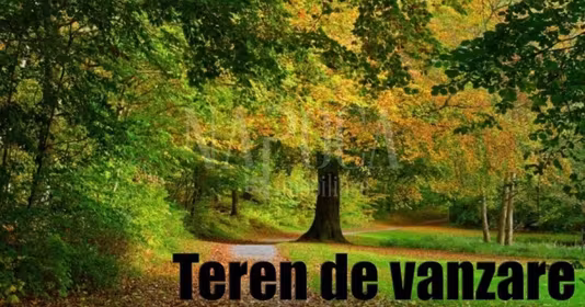 Teren Făget