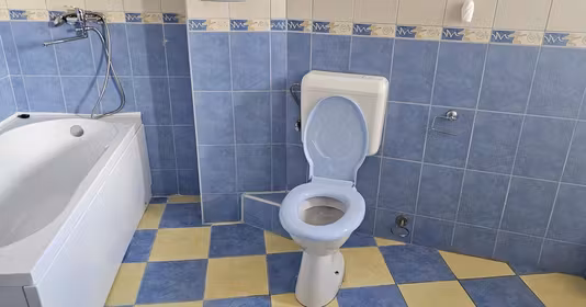 Spațiu comercial Central