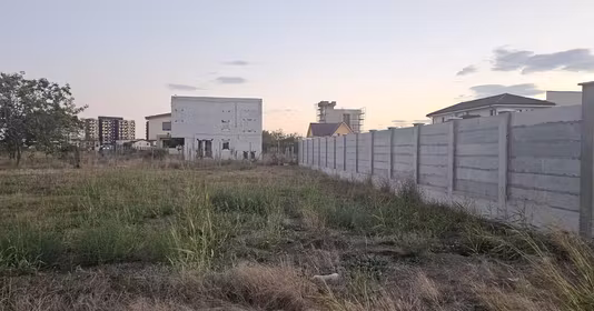 Teren Viile Noi