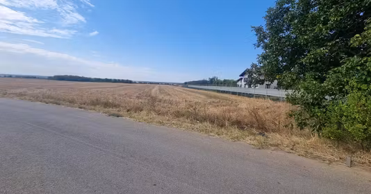 Teren Gruiu