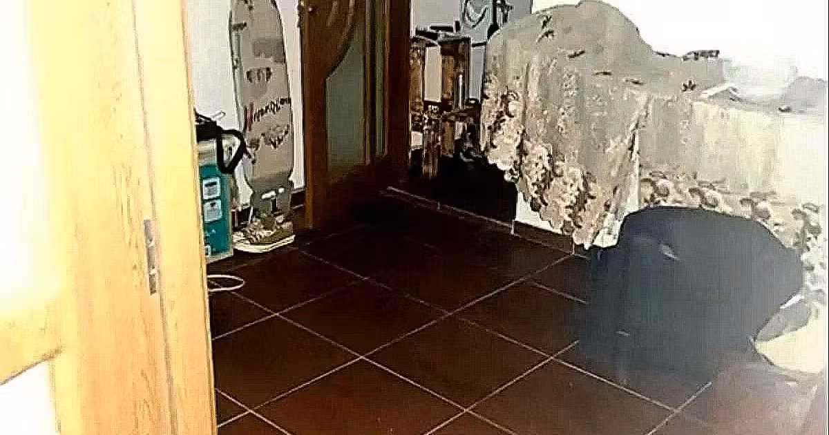 Apartament de vânzare cu 2 camere, mobilat în Odobești